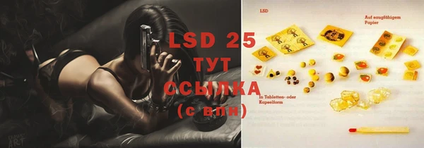 спиды Инсар