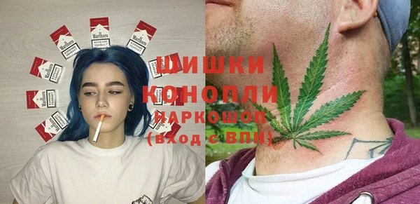 спиды Инсар