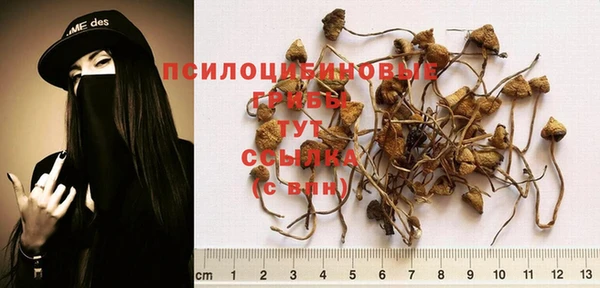 спиды Инсар