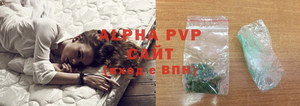 спиды Инсар
