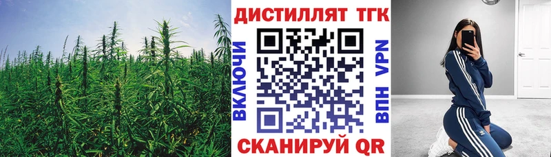 Купить где  Грязи  ТГК THC oil 