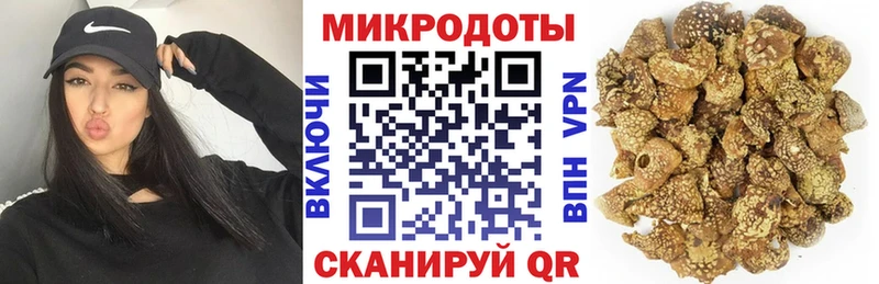 Купить где  Грязи  Галлюциногенные грибы GOLDEN TEACHER 